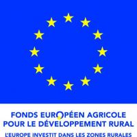 Logo ue feader quadri