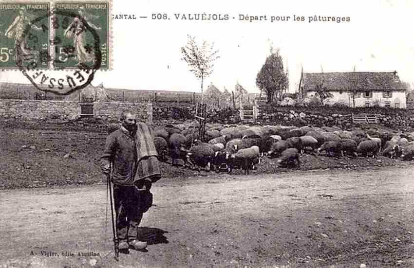 Valuejols depart pour les paturages en 1918